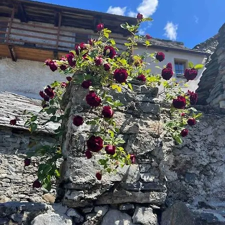 Antica Casa Rivoira Ciliegio Lägenhet Masera